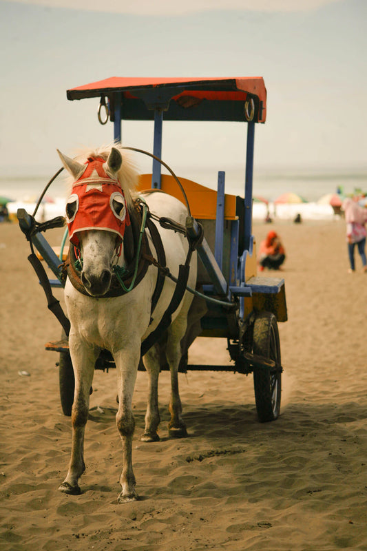 Mastering Trailer Hitching Your Ultimate Guide
