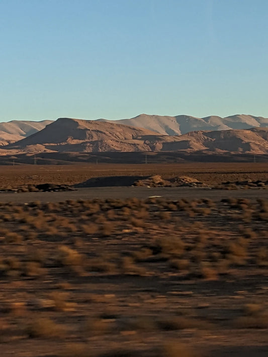 The Environmental Impact of Trailers Uncovered