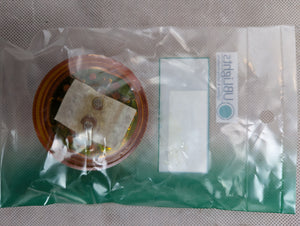 LED Clearance or Side Marker Light - Submersible - 2 LEDs - 2-1/2