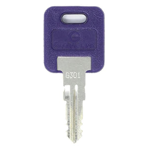 Global Link Precut RV Lock Replacement Keys - full product view | AAA Trailer