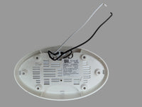 Interior Trailer Light, 6 x 3.5 Oval 12V Led Cool White - 6 x 3.5 - detail view | AAA Trailer
